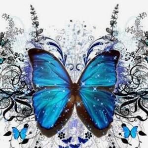 Meet your Posher, Crandell